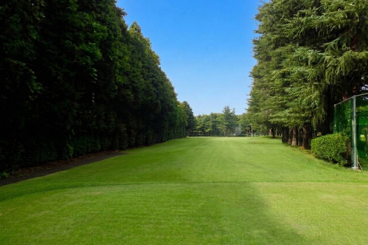 6番ホール ティー
